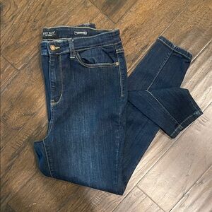 Judy Blue Indigo Skinny Fit Jeans